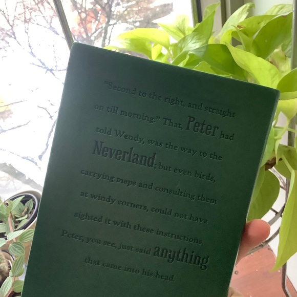 🎉HP🎉Peter Pan Book Novel (English) - Picture 8 of 10